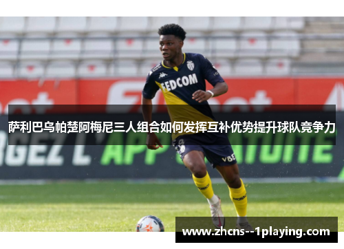萨利巴乌帕楚阿梅尼三人组合如何发挥互补优势提升球队竞争力