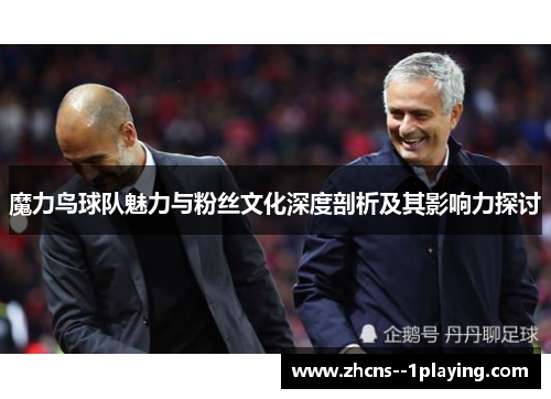 魔力鸟球队魅力与粉丝文化深度剖析及其影响力探讨