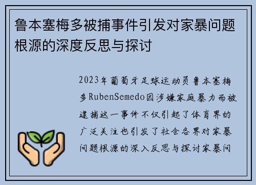 鲁本塞梅多被捕事件引发对家暴问题根源的深度反思与探讨